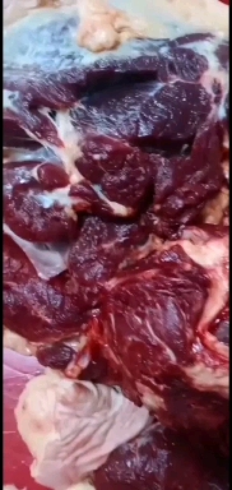 新鲜驴肉！马肉！颜色特别漂亮鲜现杀现宰纯干无注水
