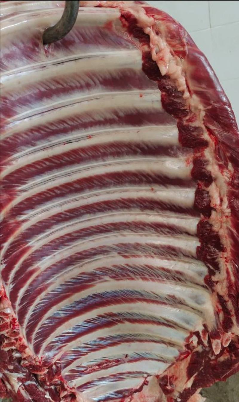 新鲜驴肉！马肉！颜色特别漂亮鲜现杀现宰纯干无注水