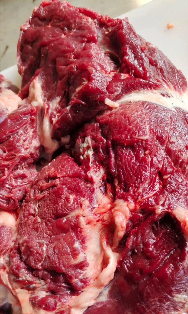 新鲜驴肉！马肉！颜色特别漂亮鲜现杀现宰纯干无注水