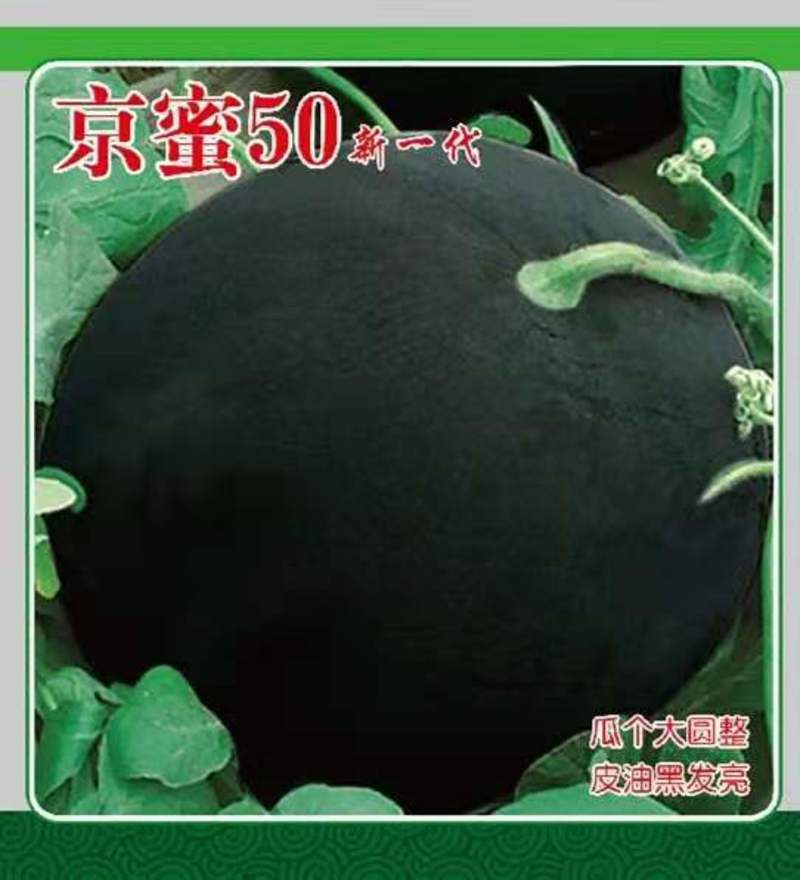 西瓜种子京蜜50新一代杂交种子纯黑皮无籽西瓜蜡粉
