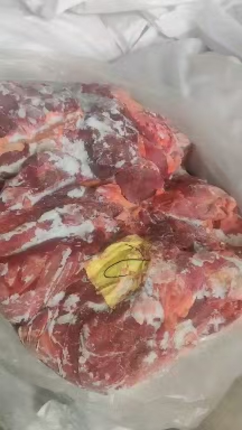 蒙古马肉，四分体，五分体，颜色特别漂大量现货