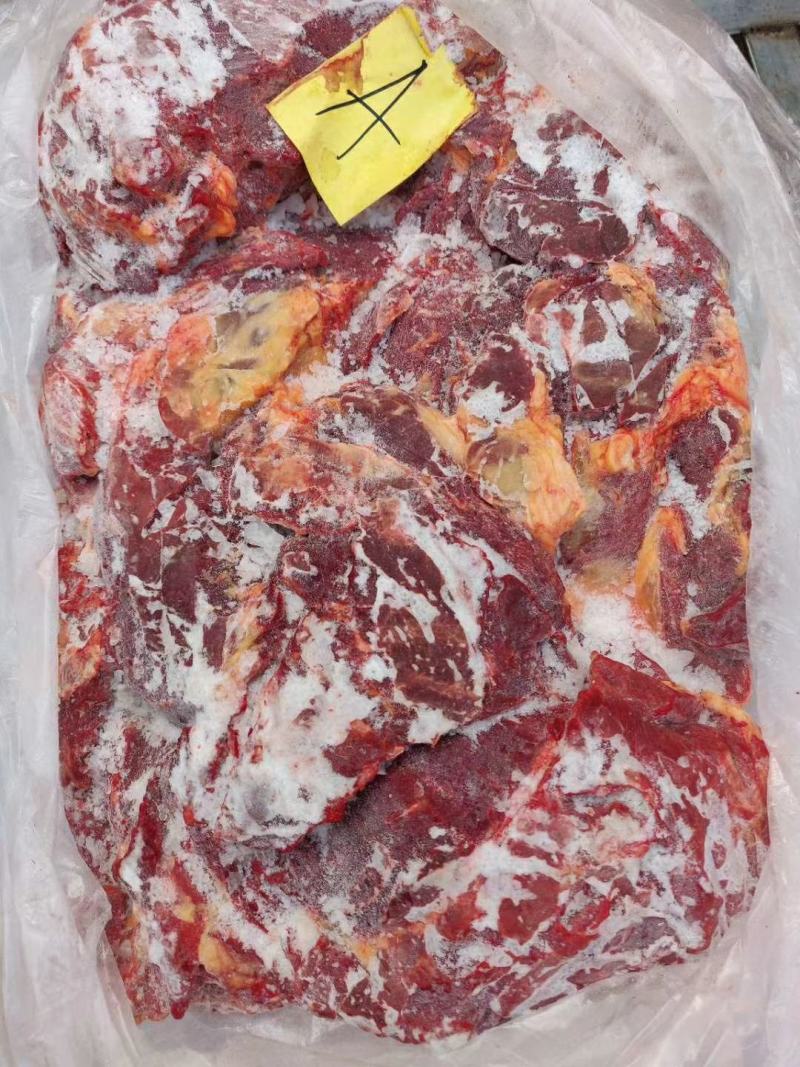 蒙古马肉，四分体，五分体，颜色特别漂大量现货