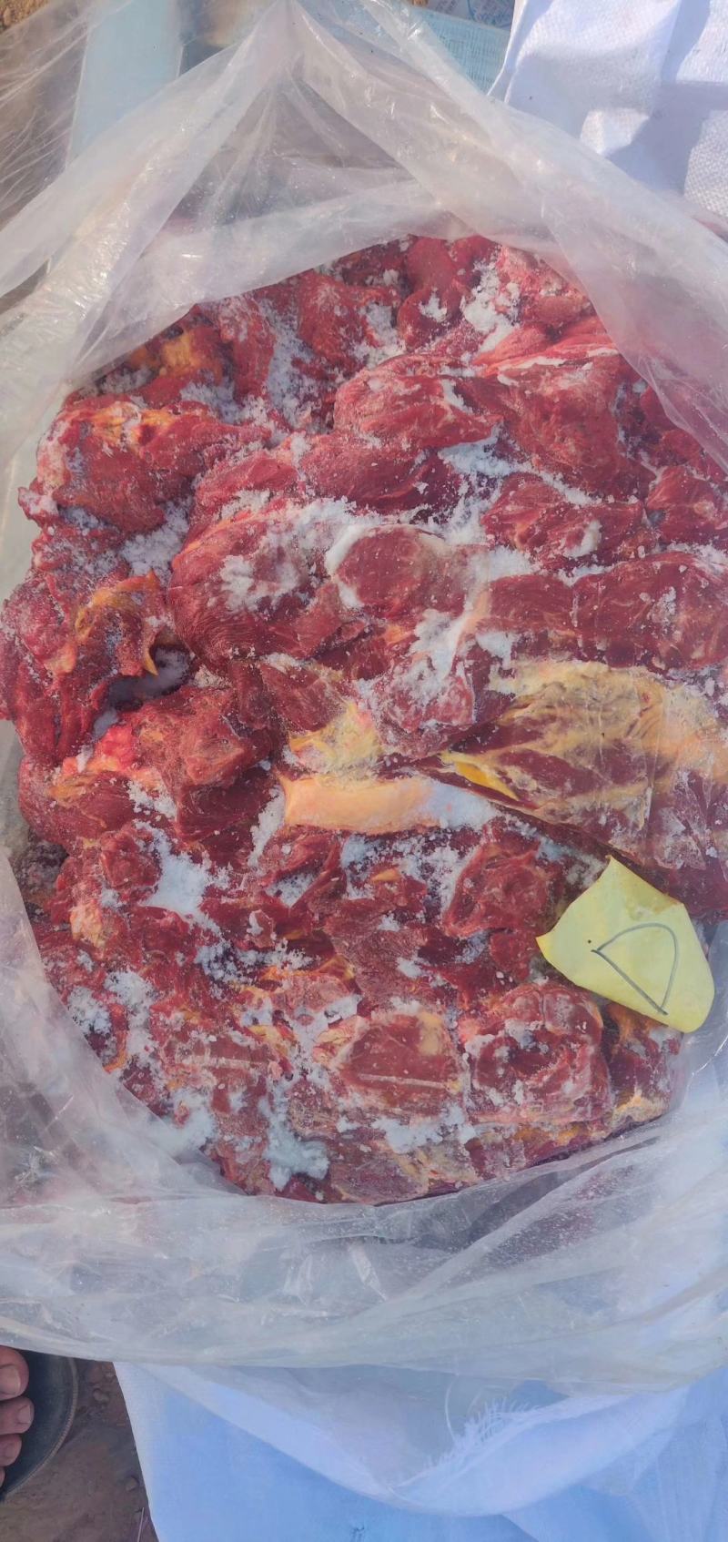 蒙古马肉，四分体，五分体，颜色特别漂大量现货