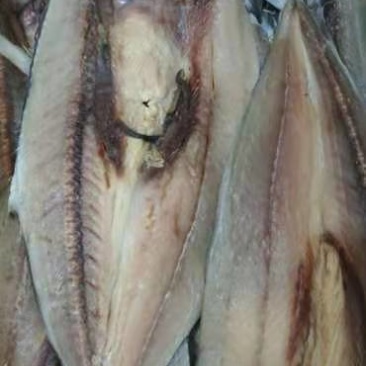 燕尾鲅（咸鱼），开背去内脏的咸鱼，补钙佳品，一手货源