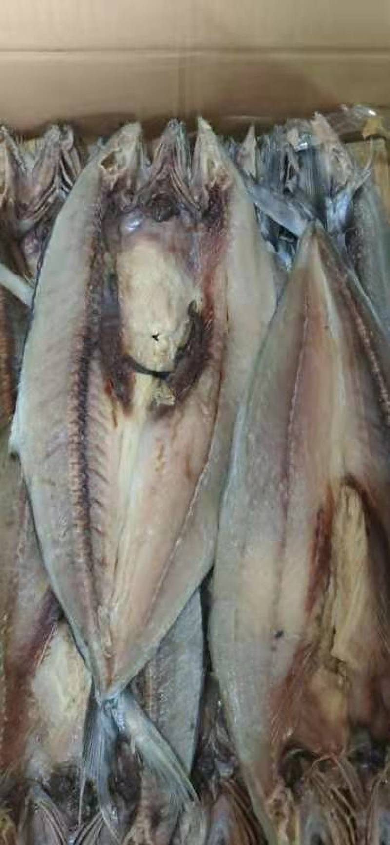 燕尾鲅（咸鱼），开背去内脏的咸鱼，补钙佳品，一手货源