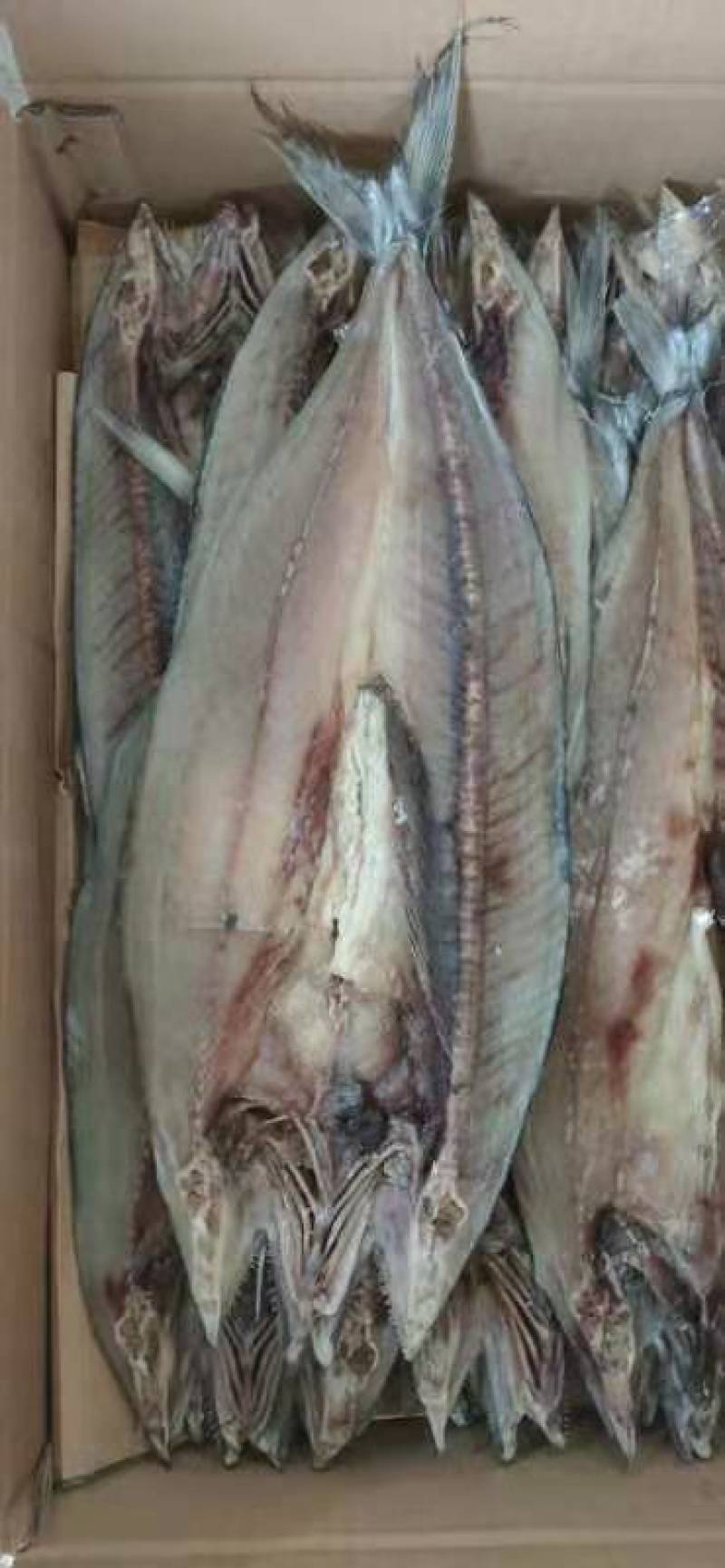 燕尾鲅（咸鱼），开背去内脏的咸鱼，补钙佳品，一手货源