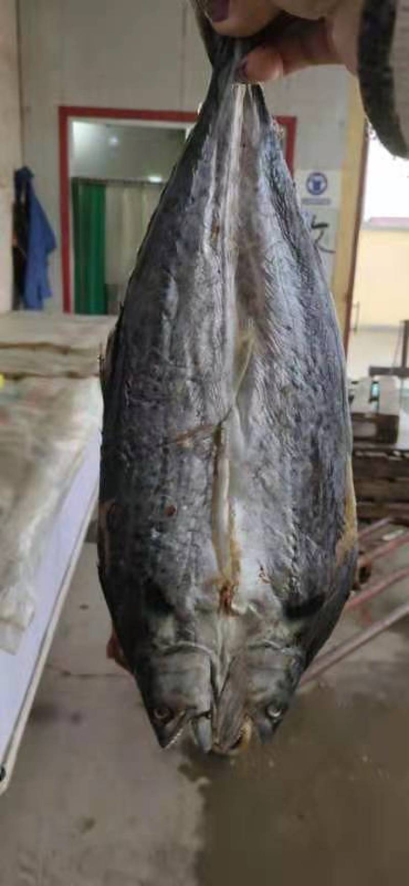 燕尾鲅（咸鱼），开背去内脏的咸鱼，补钙佳品，一手货源