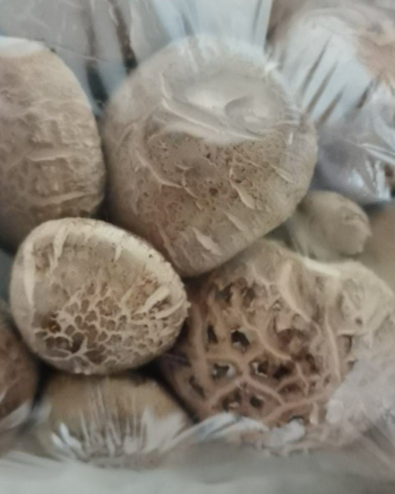 【优质香菇】鲜香菇上市菌类，冬菇，电超专供