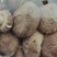 【优质香菇】鲜香菇上市菌类，冬菇，电超专供