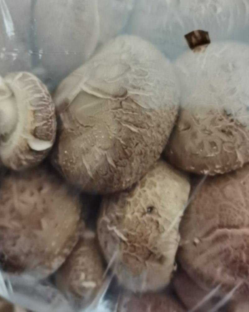 【优质香菇】鲜香菇上市菌类，冬菇，电超专供