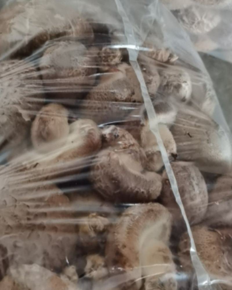 【优质香菇】鲜香菇上市菌类，冬菇，电超专供