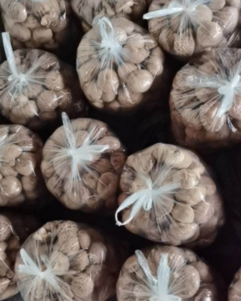【优质香菇】鲜香菇上市菌类，冬菇，电超专供
