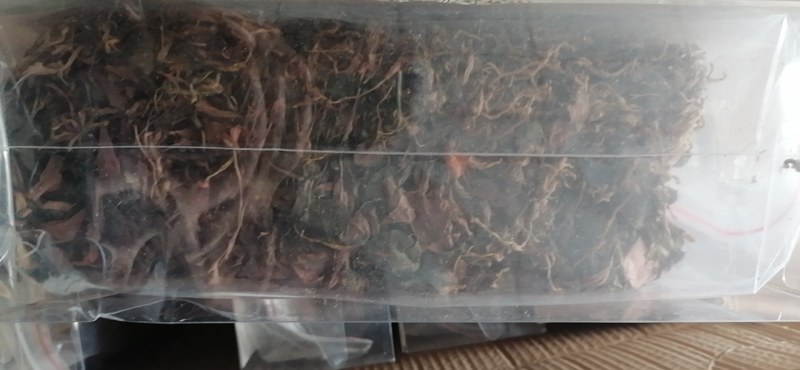 无碎金线莲干货，干品，整株，产地一手货源批发