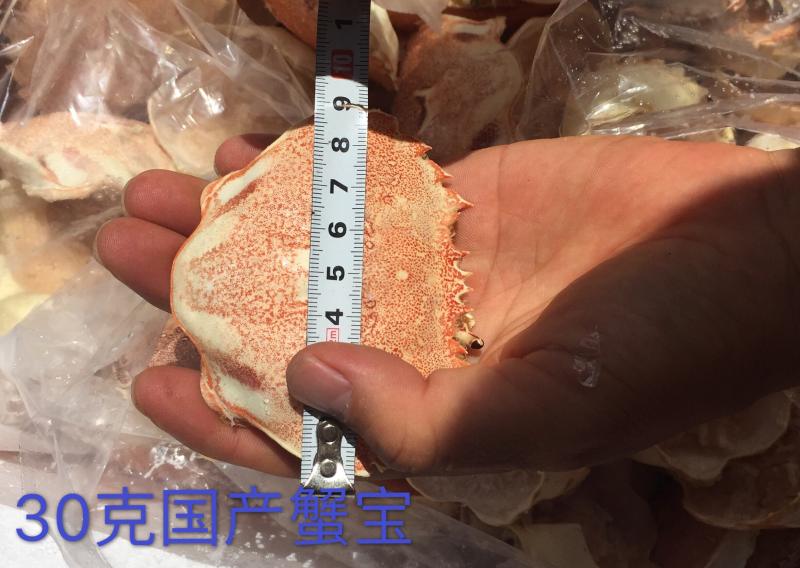 蟹宝一手货源30克，40克，50克，70克