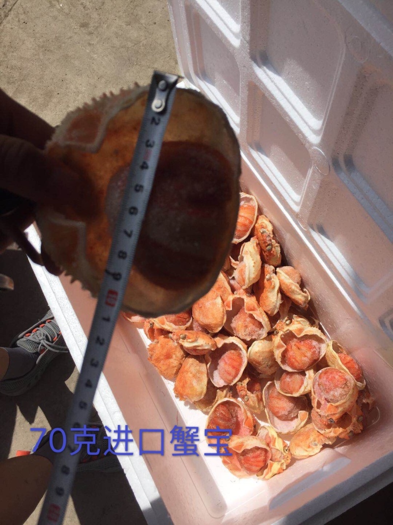 蟹宝一手货源30克，40克，50克，70克