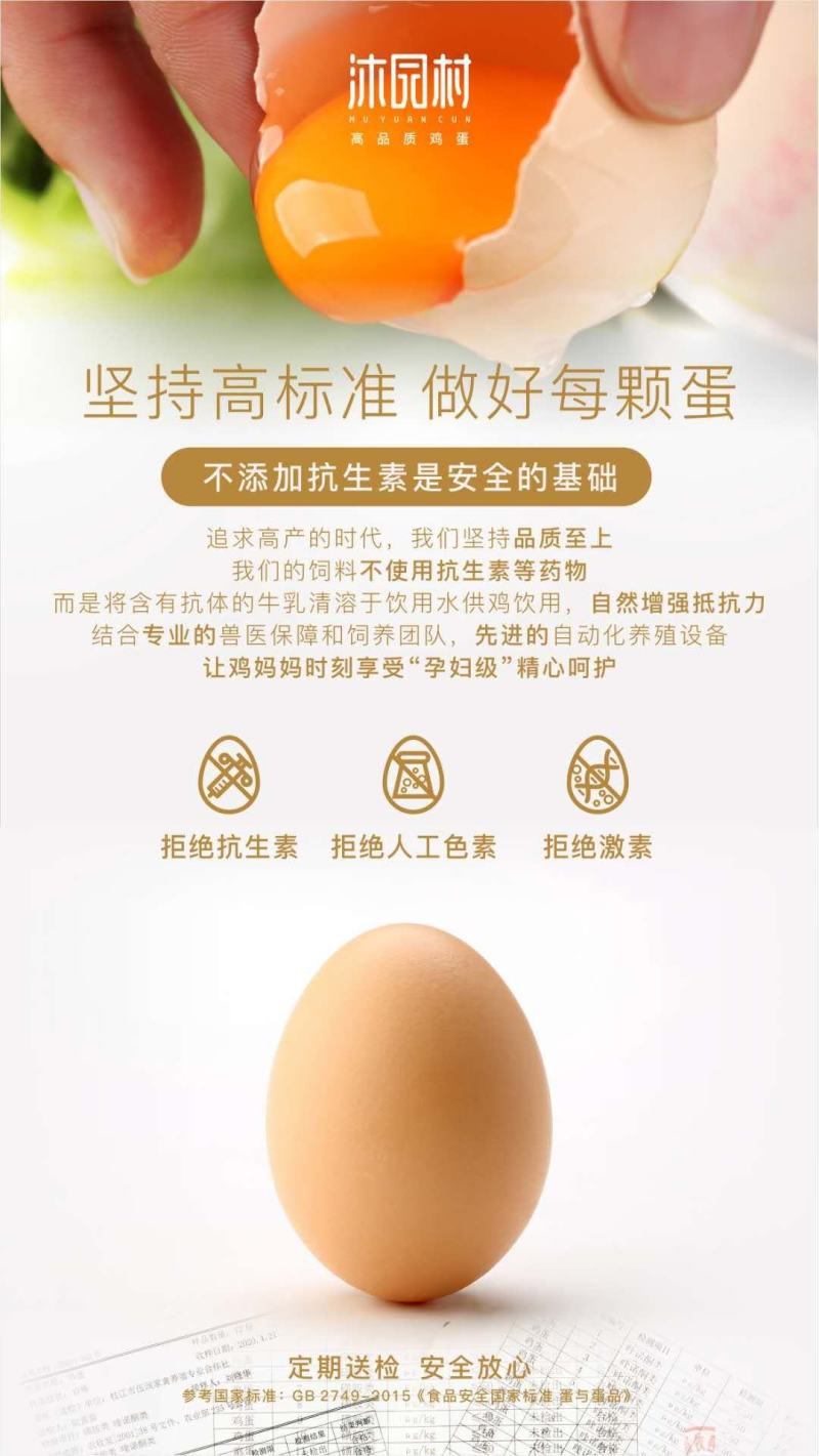 粉蛋红蛋绿壳蛋现捡现发保证新鲜