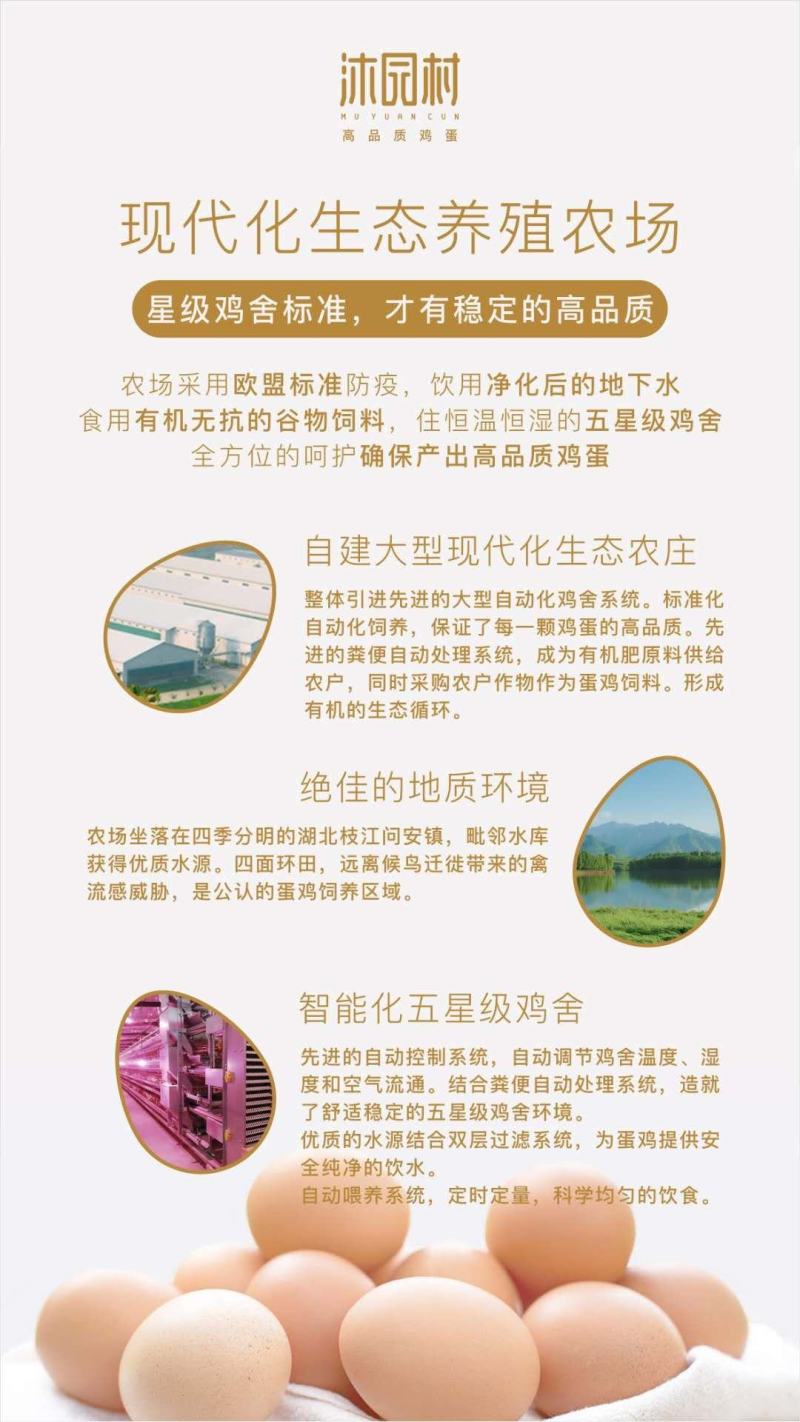 粉蛋红蛋绿壳蛋现捡现发保证新鲜