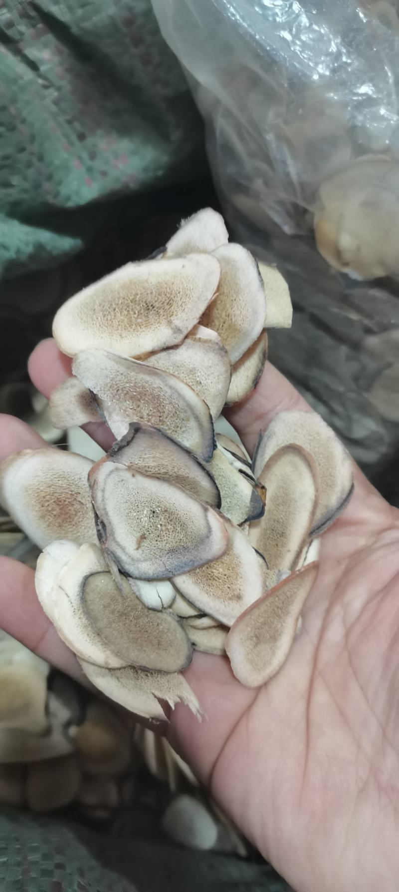 鹿茸鹿茸片泡酒滋补无硫熏***各种中药材
