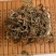 灯盏细辛，道地药材，质优价实，品质保证，药典标准，一公斤
