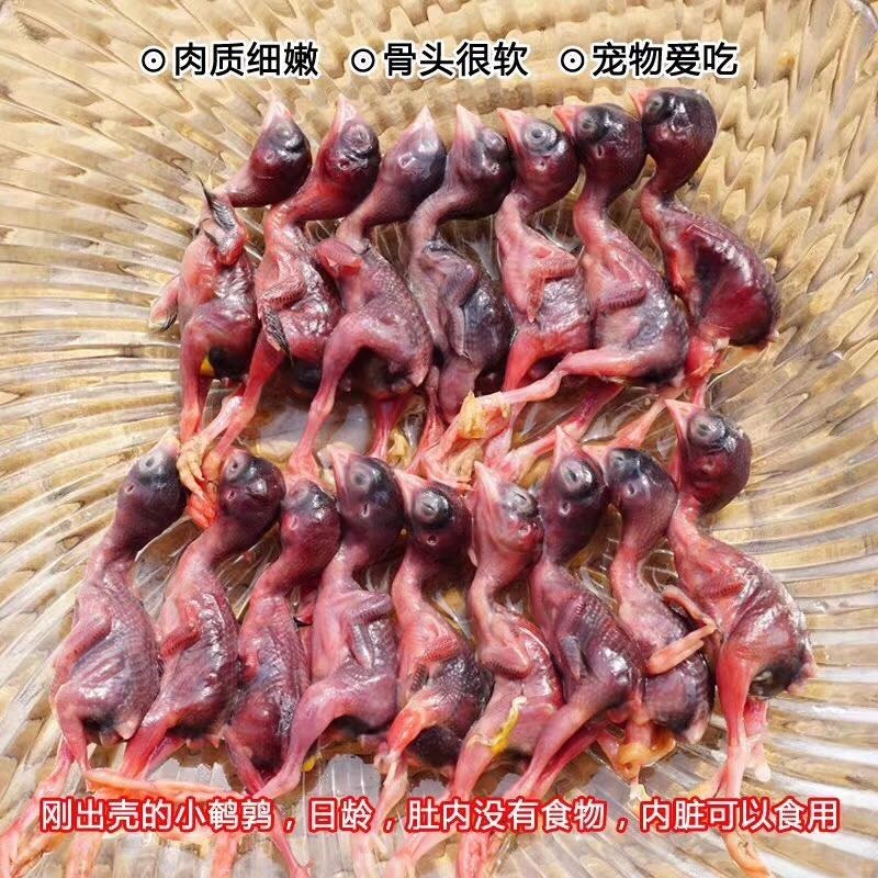 脱毛小鹌鹑做宠物食品的可以进来