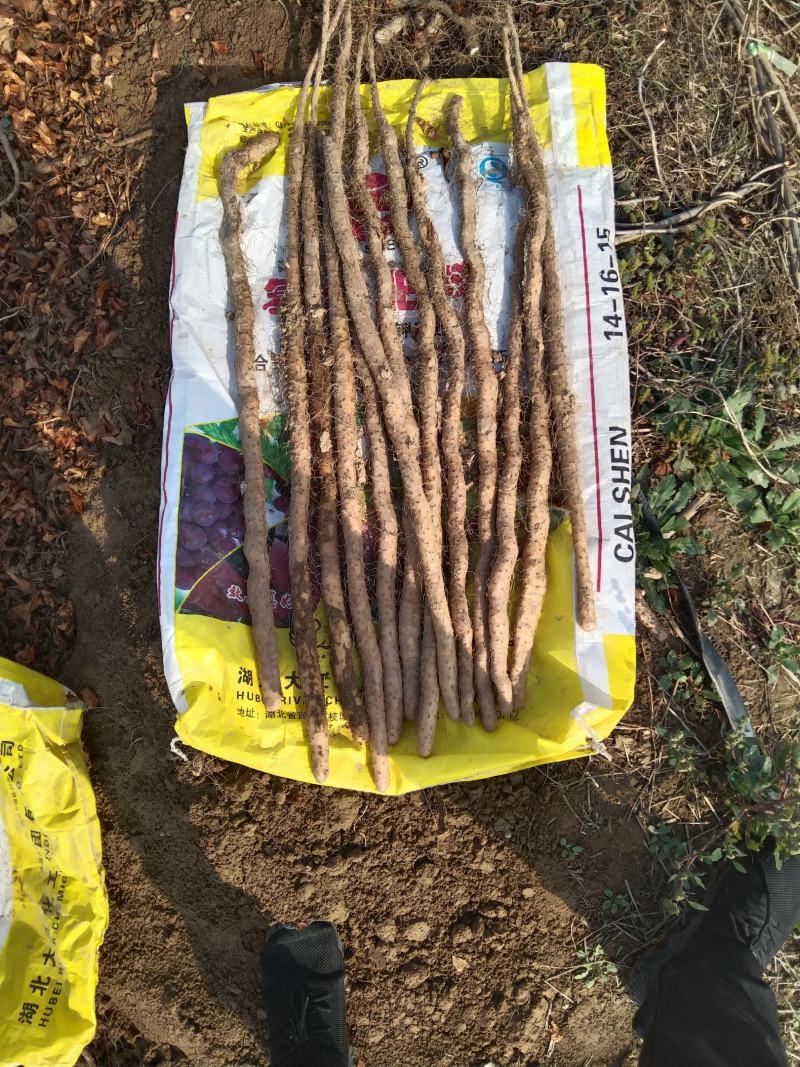 渭南垆土铁棍山药，口感好，价格合适