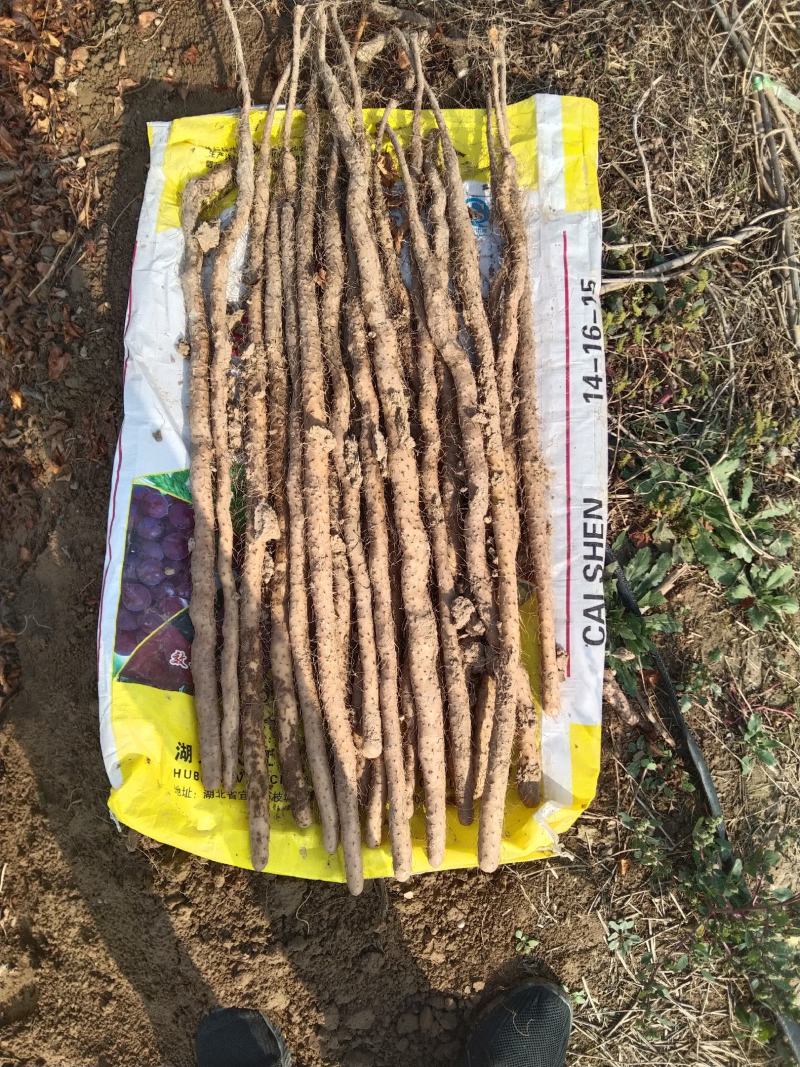渭南垆土铁棍山药，口感好，价格合适