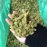 新疆吐鲁番葡萄干，大颗粒新货葡萄干，大量批发