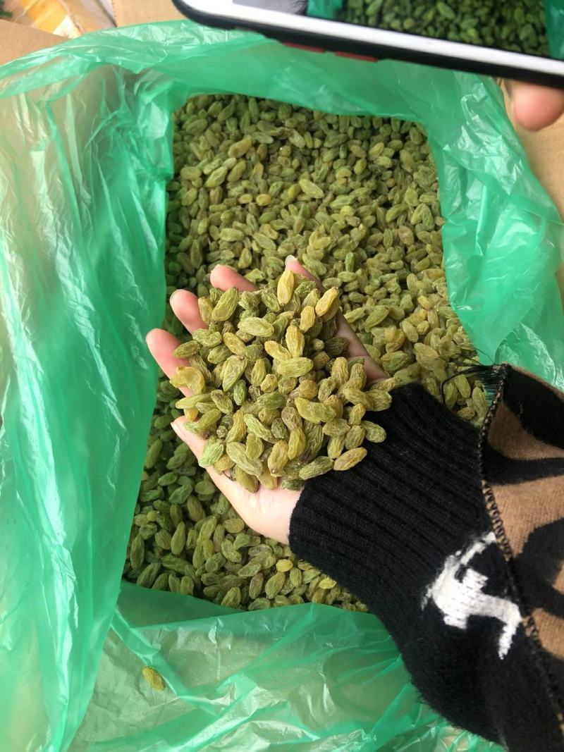 新疆吐鲁番葡萄干，大颗粒新货葡萄干，大量批发
