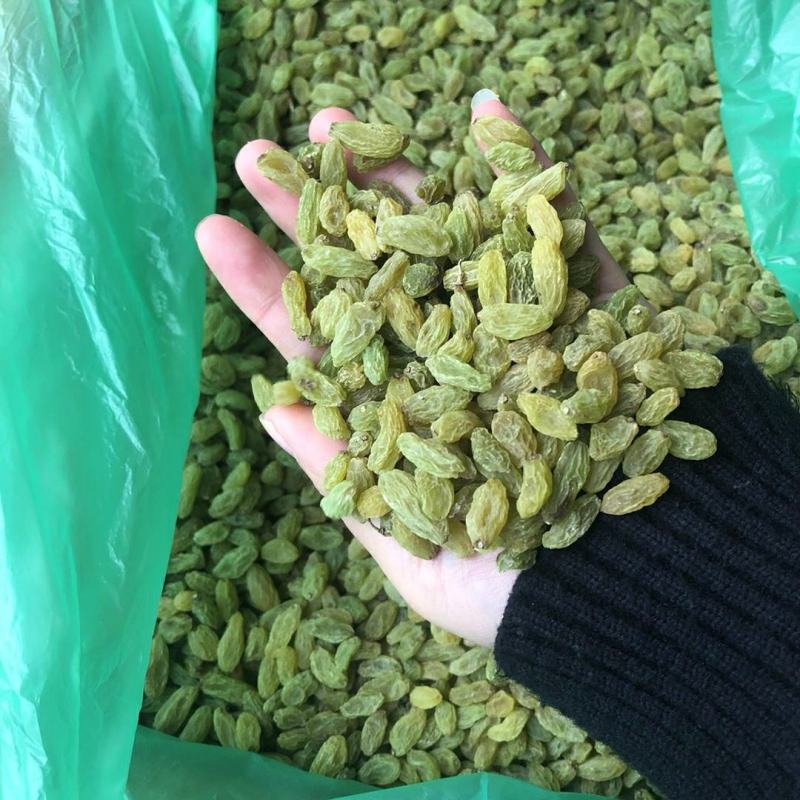 新疆吐鲁番葡萄干，大颗粒新货葡萄干，大量批发