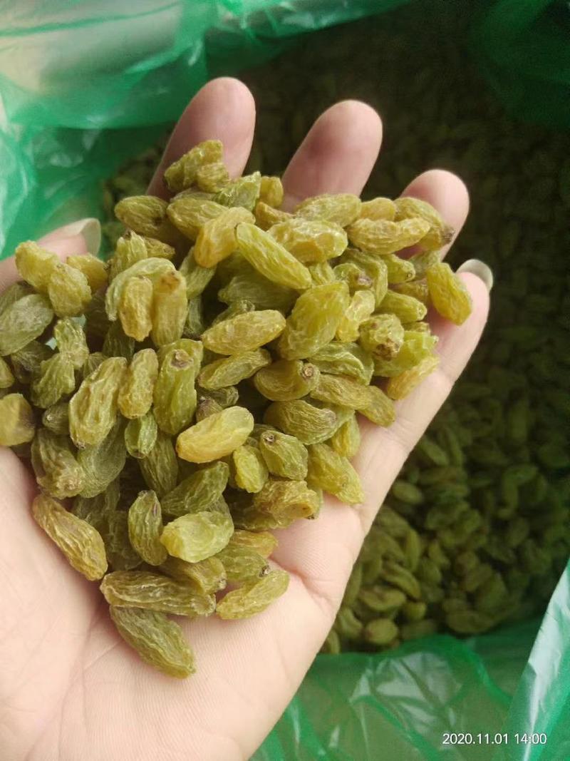 新疆吐鲁番葡萄干，大颗粒新货葡萄干，大量批发
