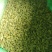 新疆吐鲁番葡萄干，大颗粒新货葡萄干，大量批发