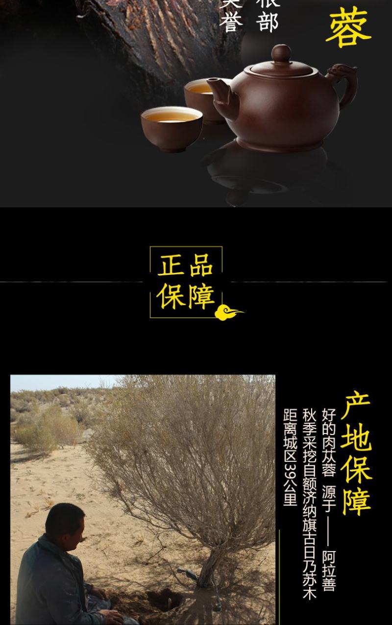 软大芸，阿拉善肉苁蓉，油苁蓉切片，一件批发
