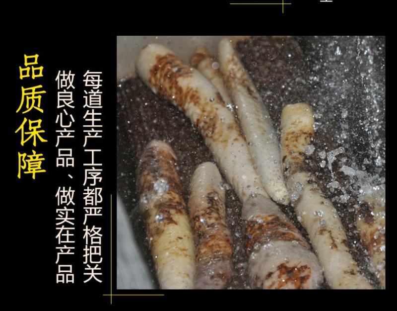 软大芸，阿拉善肉苁蓉，油苁蓉切片，一件批发