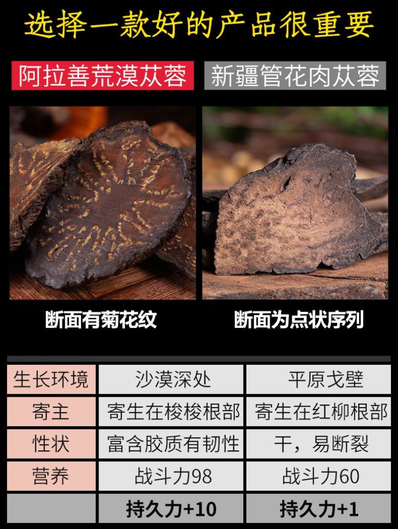 软大芸，阿拉善肉苁蓉，油苁蓉切片，一件批发