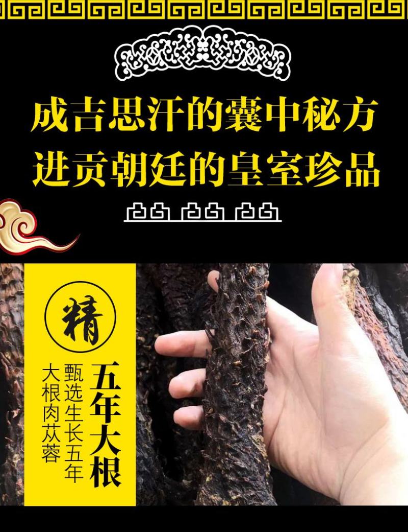 软大芸，阿拉善肉苁蓉，油苁蓉切片，一件批发