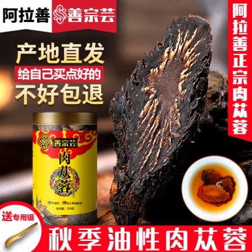 软大芸，阿拉善肉苁蓉，油苁蓉切片，一件批发
