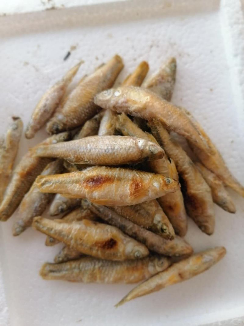 麦穗鱼（纯手工柴火烤鱼）