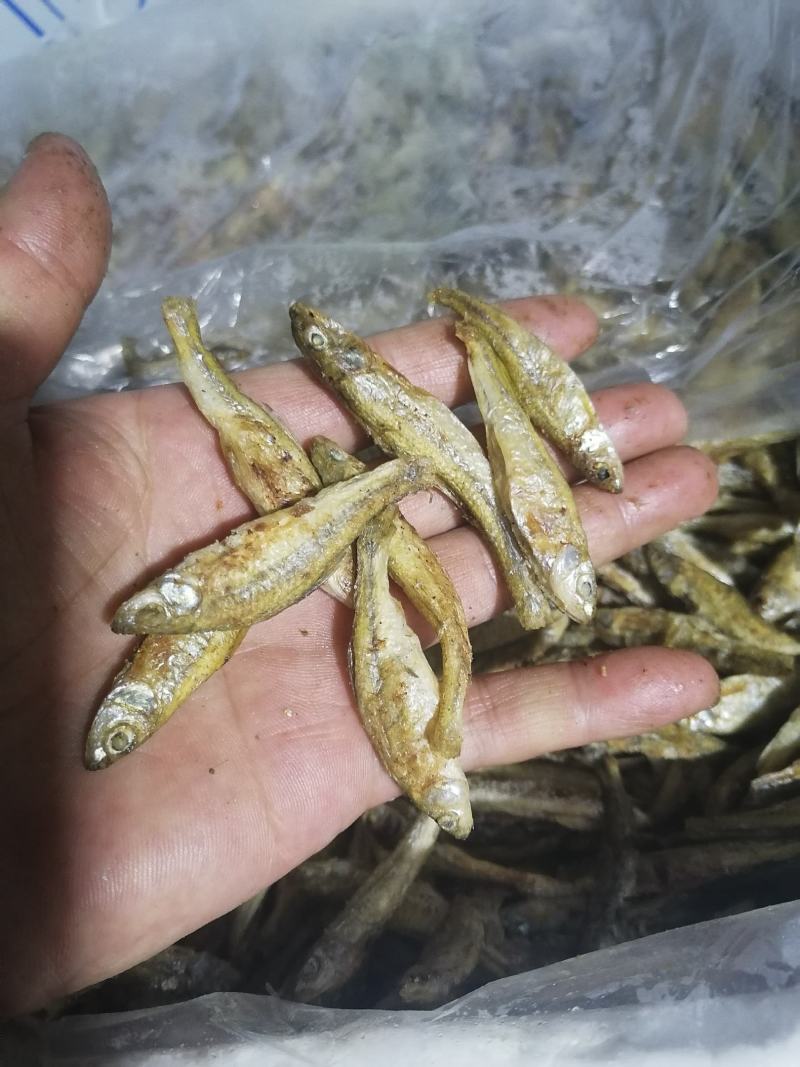 麦穗鱼（纯手工柴火烤鱼）