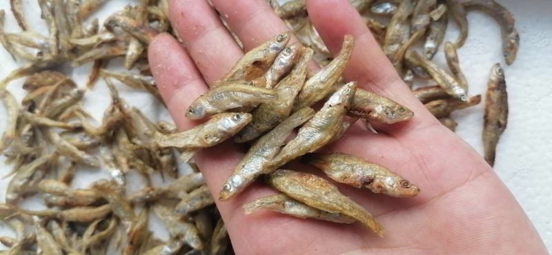 麦穗鱼（纯手工柴火烤鱼）