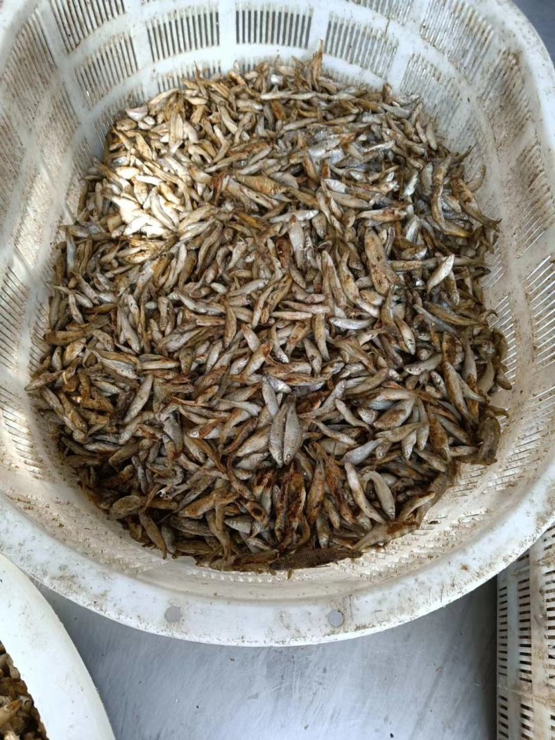 麦穗鱼（纯手工柴火烤鱼）