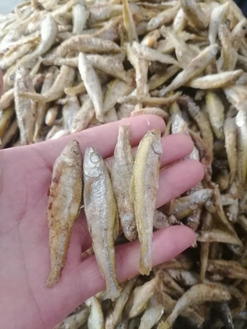 麦穗鱼（纯手工柴火烤鱼）