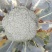 西兰花耐寒优秀，加工厂货市场货大量上市中