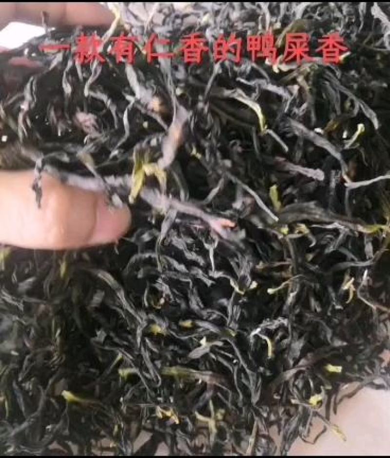 凤凰单丛茶奶香大乌叶雪片茶纯正奶香山韵好