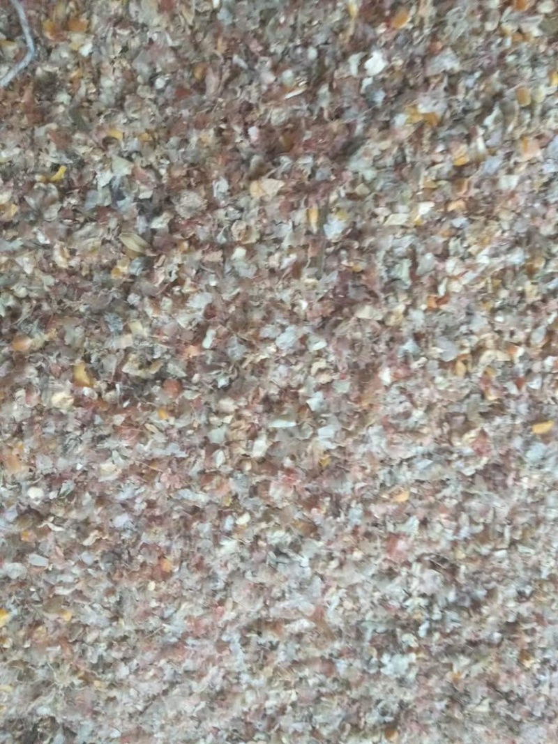 玉米下脚料，喂鸡鸭鹅都行