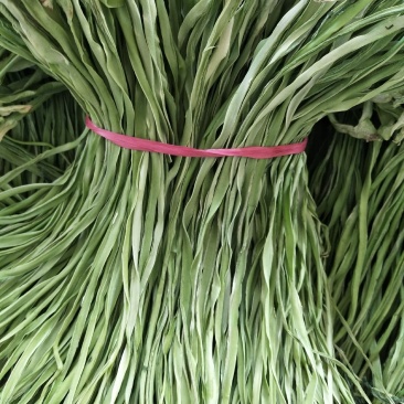 【精品】云南干贡菜全国接单视频看货量大优惠,全国接单
