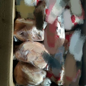 三黄鸡，11只装，盘腿套袋，价格美丽厂家直接发货