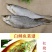 白鳞鱼，自家渔船的，很新鲜！自带油性的一款鱼，很好吃