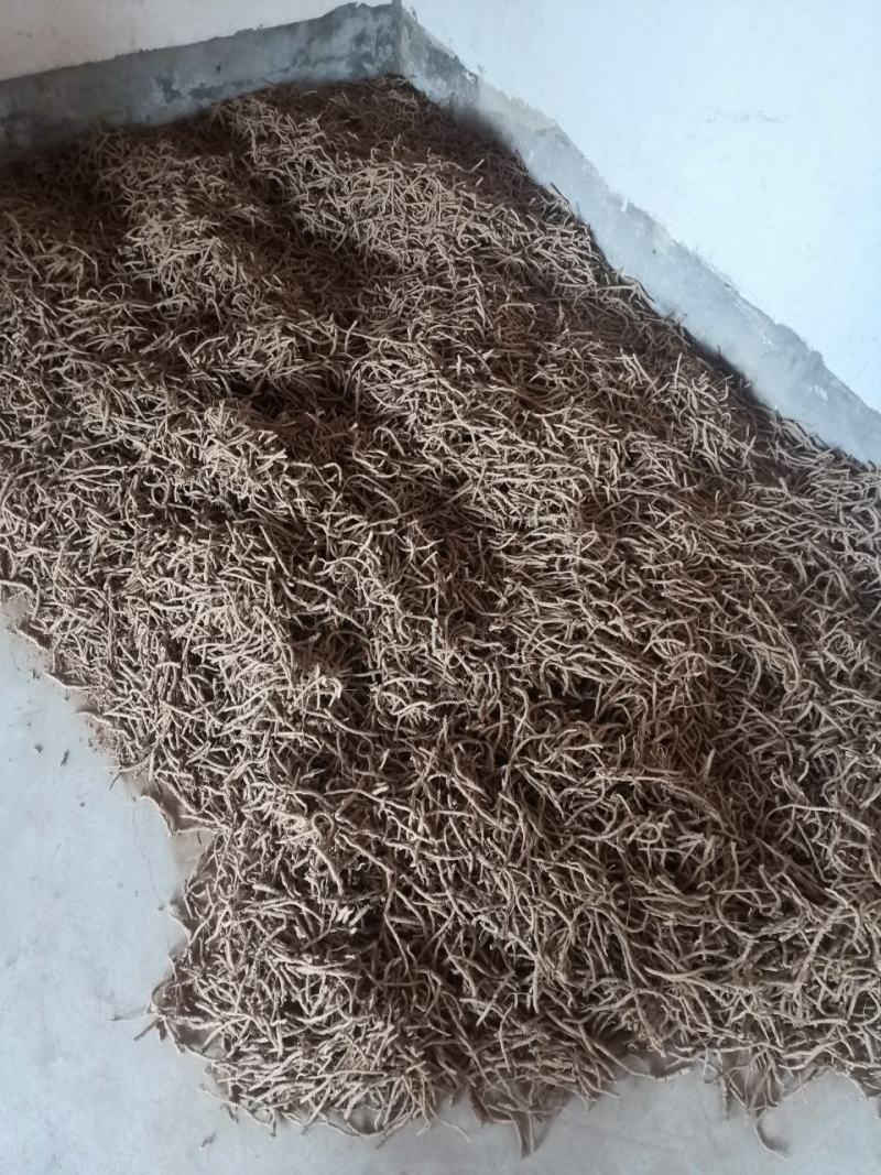 远志，出售精品远志筒，一级，通货，远志条，远志节10斤起