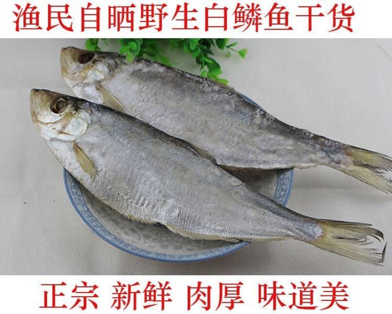 白磷鱼，一款咸鱼，自家渔船手工腌制，自然晾晒，肉质鲜美