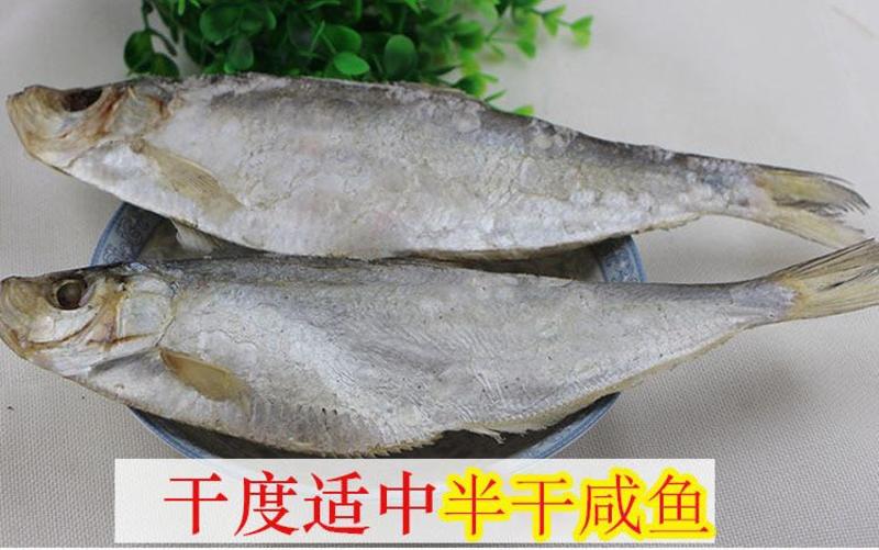 白磷鱼，一款咸鱼，自家渔船手工腌制，自然晾晒，肉质鲜美
